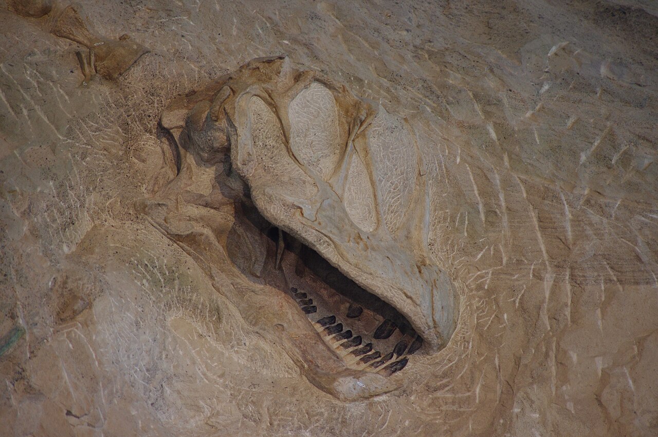 River canyons of Dinosaur National Monument