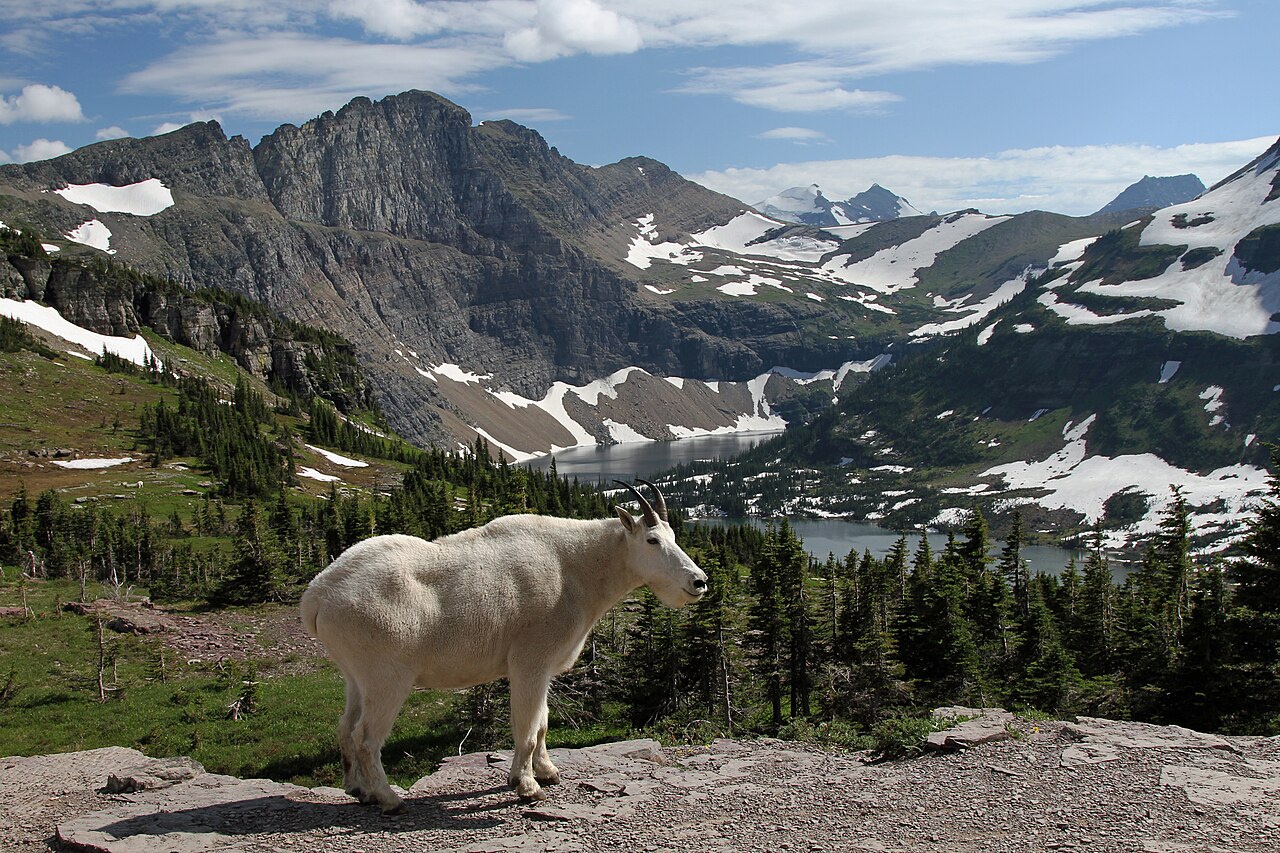Glacier-carved peaks and a lake in Glacier National Park