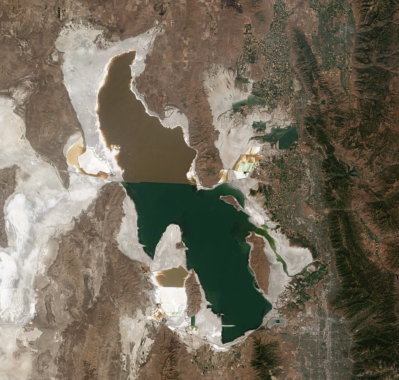 The briny shallows of Great Salt Lake