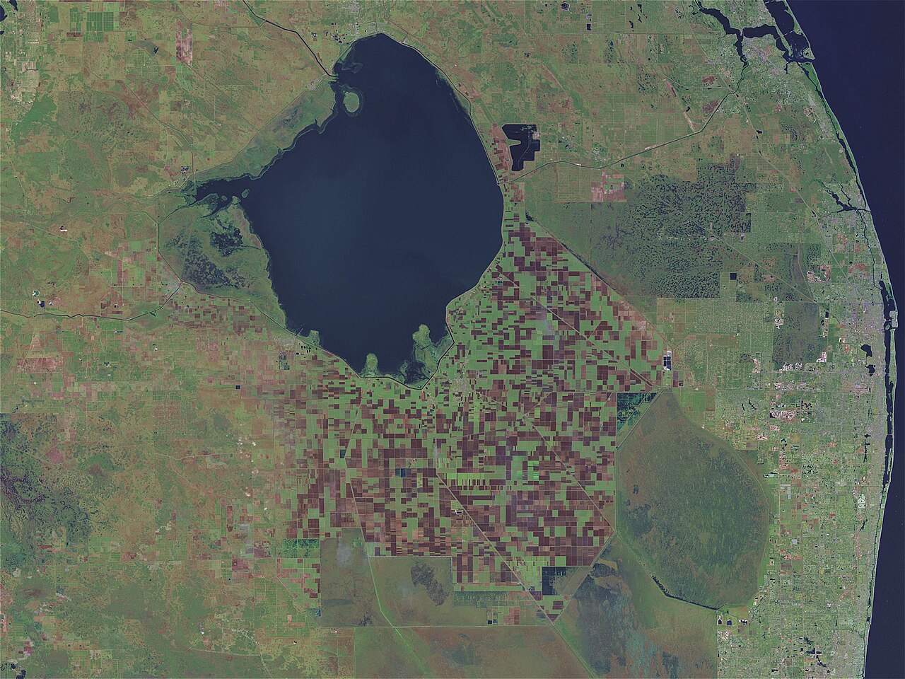 The vast shallow expanse of Lake Okeechobee