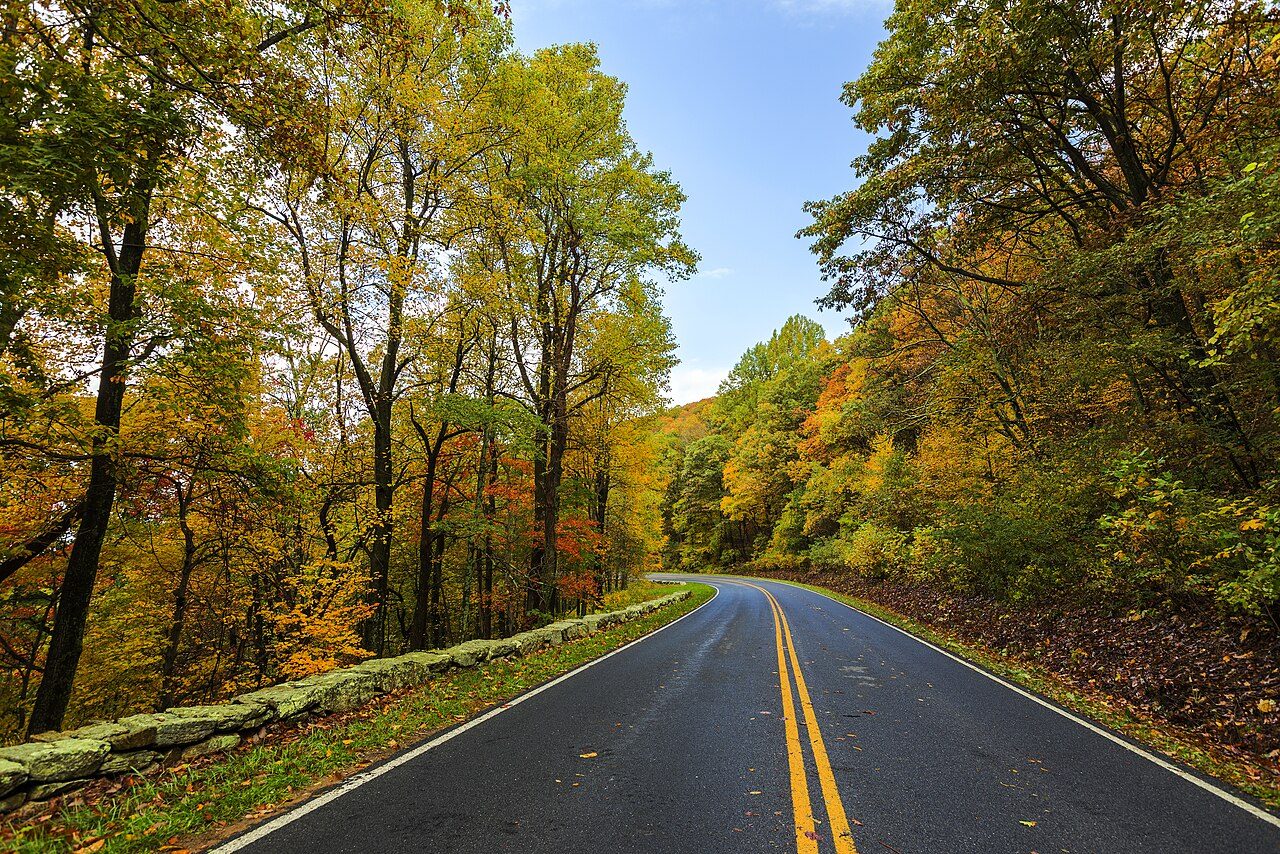 Autumn color along the Blue Ridge in Shenandoah